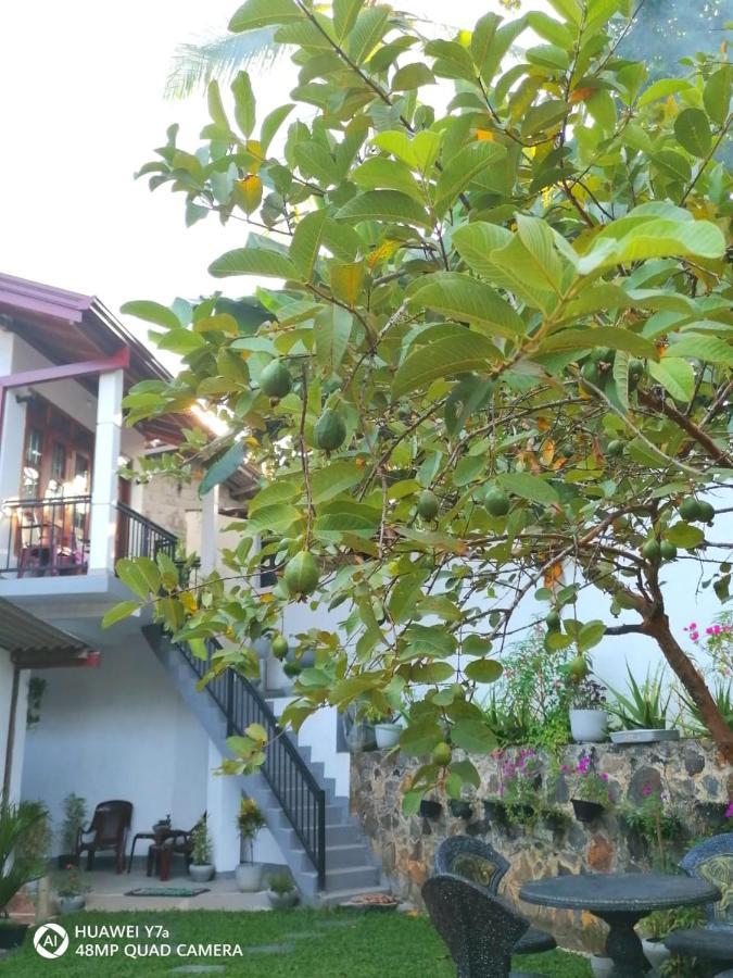 Villa Wismar Hikkaduwa Buitenkant foto
